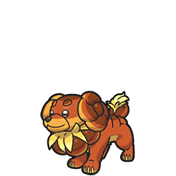 Dachsbun scarlet-violet