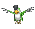 Squawkabilly Green Plumage animated