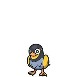 Wattrel scarlet-violet