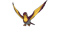 Kilowattrel animated shiny