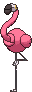 Flamigo animated