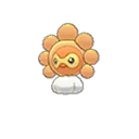Castform Sunny ultra-sun-ultra-moon