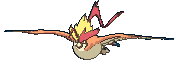 Pidgeot Mega animated