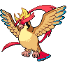 Pidgeot Mega black-white