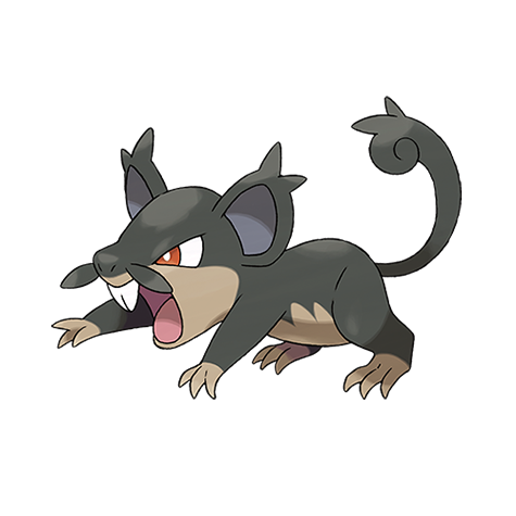 Rattata Alola