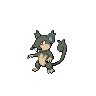 Rattata Alola black-white