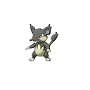 Rattata Alola ultra-sun-ultra-moon