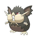 Raticate Totem Alola black-white