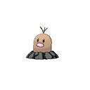 Diglett Alola ultra-sun-ultra-moon