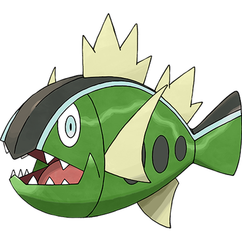 Basculin White Striped Shiny