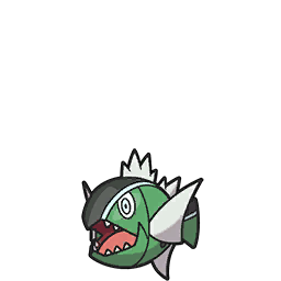 Basculin White Striped scarlet-violet