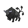 tauros-paldea-combat-breed