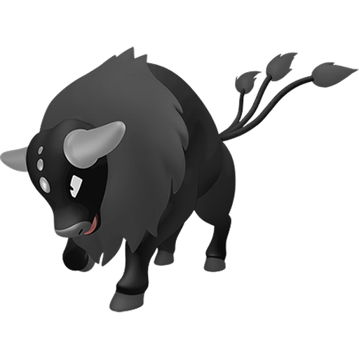 Tauros Paldea Combat Breed home shiny