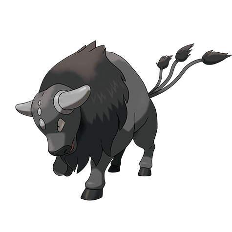 Tauros Paldea Combat Breed