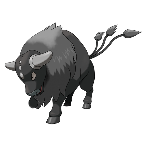 Tauros Paldea Combat Breed Shiny