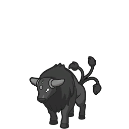 Tauros Paldea Combat Breed scarlet-violet