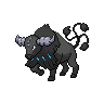 tauros-paldea-aqua-breed