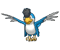 Squawkabilly Blue Plumage animated