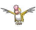 Squawkabilly Yellow Plumage animated shiny
