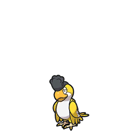 Squawkabilly Yellow Plumage scarlet-violet