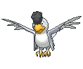 Squawkabilly White Plumage animated
