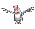 Squawkabilly White Plumage animated shiny