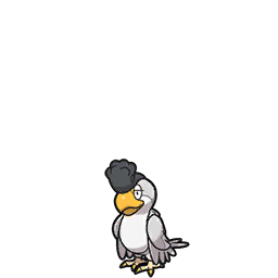 Squawkabilly White Plumage scarlet-violet